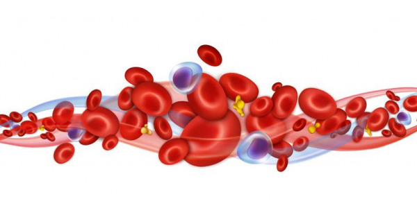 Platelet-rich plasma: the key to PRP therapy