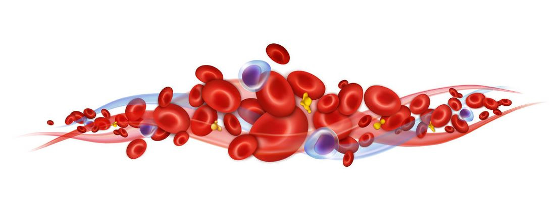 Blutplättchenreiches Plasma: der Schlüssel zur PRP-Therapie
